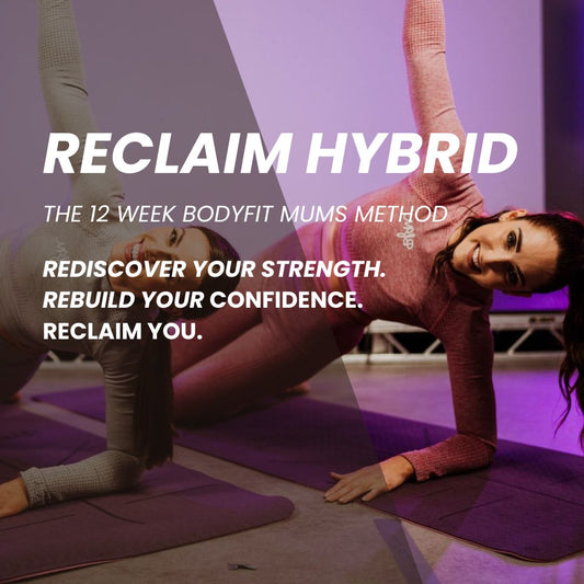 Reclaim Hybrid - Payment 2